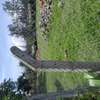 1 ACRE OF LAND IN SOFIA ESTATE HOMA BAY thumb 6