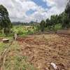 0.125 ac Land in Ruaka thumb 0
