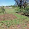 0.05 ha Residential Land at Kikuyu Kamangu thumb 0
