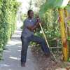 Bestcare Gardeners Kiambu,Thika,Limuru,Ruiru,Karuri,Kikuyu thumb 8