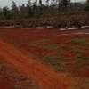 1000 Acres in Makuyu With 2 Dams Is Available for Sale thumb 0