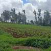 0.05 ha Residential Land at Kikuyu Kamangu Ruthigiti thumb 2