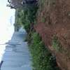 PRIME LAND AT The NEW GOVERNOR'S OFFICE HOMA BAY thumb 6