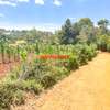 0.1 ha Land at Gikambura thumb 9