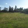 Lovely Half Acre Land in Ongata Rongai thumb 2