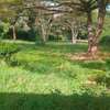 1.1 ac Residential Land at Mzima Spring thumb 4