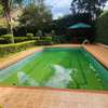 4 Bed Townhouse with En Suite in Spring Valley thumb 13