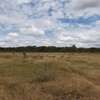 AN EXPANSIVE 4200 ACRES RANCH FOR SALE IN LAIKIPIA COUNTY thumb 3