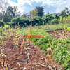 0.05 ha Residential Land at Muthiga thumb 16