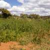 0.05 ac Residential Land at Kikuyu thumb 11