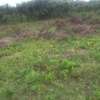 Beautiful one eighth plots in Ngong thumb 11