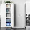 Office Cabinet: Modern Full Metallic Cabinet thumb 0
