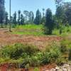 PRIME 1/4 ACRE PLOT FOR SALE- SALAMA GARDENS, GITERO-NYERI! thumb 2