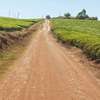 10 ac Land at Kiambu-Limuru Road thumb 14