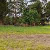 Commercial Property in Limuru thumb 9