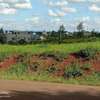 0.125 ac Residential Land at Exit 13 Behind Spur Mall thumb 3