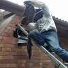 Live Bee Removal In Nairobi-Give us a call thumb 3