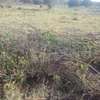 1,450 Acres On Athi River in Makindu is For Lease thumb 2