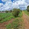 1 ac Residential Land at Kentmere thumb 1