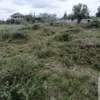 0.040 Ha prime land in campus view kaputiei kitengela. thumb 3
