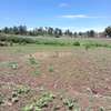 40X80ft PLOT FOR SALE AT KENOL. 100MTRS FROM HIGHWAY thumb 3