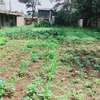 50 by 100 land on sale in Kabete Rokovi thumb 0