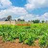 0.05 ha Residential Land at Kamangu thumb 13