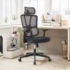 Elite Ergonomic Office Chair thumb 2