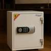 Fireproof Safe; 50 Kgs Diplomat Fireproof Safe in Ogembo thumb 2