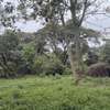 5 ac Land in Kitisuru thumb 10
