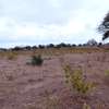 1/4 An Acre Plots For Sale Weighbridge,Malindi thumb 1