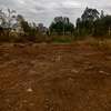 40*80ft plots for sale at Kenol town in Muranga county thumb 4