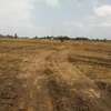 1/4-Acre Serviced Plots For Sale in Juja thumb 8
