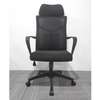 Spine Mesh Back High Back Ergonomic Office Chair thumb 2