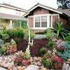 Hire Professional Gardener & Maintenance Staff | Call us for your Home and Office Gardening & Landscaping. thumb 8