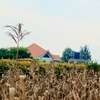 Land- Mugutha Ruiru for sale thumb 3