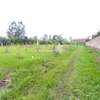Prime 1 Acre Plot For Sale In Karen, Nairobi. thumb 1