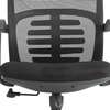 Office Chair: Mesh Strong Back Clerical Black Office Chair thumb 2