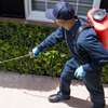 ‎Bed Bug Pest Control Spring Valley,Mountain View,Kangemi thumb 0