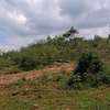 Affordable plots for sale in Athi River. thumb 1