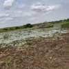 1200 Acres Touching Sabaki River In Malindi Is For Sale thumb 2