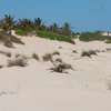 12 Acres Front Row Beach Is Available For Sale In Malindi thumb 2