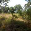 10 Acres Available For Sale in Malindi thumb 1