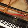 Piano Tuning/Repair-Piano Tuning, Repair & Moving thumb 3