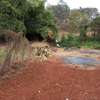 MUTHITHI GARDENS - 0.5 ACRE PLOT FOR SALE thumb 1