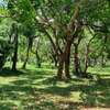 2.5 ac Land at Serena thumb 13