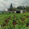 500 m² Commercial Land in Kikuyu Town thumb 24