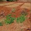 700 Acres of Agricultural Land is For Sale in Oloitoktok thumb 0