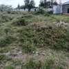 Kitengela 1/8 acre, 600m from main road. thumb 4