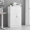 Office Cabinet: Cabinet With Locking Door & Adjustable Shelf thumb 0